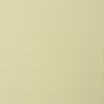 SPICE UP 789041 - Image 2