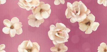 SUPERIOR 10068-4 - Image 2