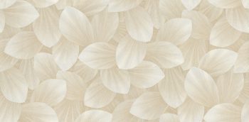 SUPERIOR V.1 & 2 10070-1 - Image 2