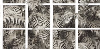 SUPERIOR VOL.2 10143-2 - Image 2