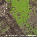 SAMN03 MONET GREEN - Image 3