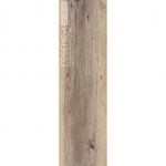 EVP002-02 Golden Noah - Image 4