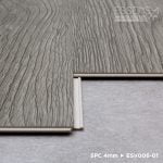 ESV006-01 Nadine - Image 4