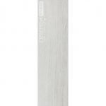 CV2-3011 Downy Birch - Image 4