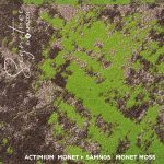 SAMN05 MONET MOSS - Image 3