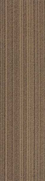 SHBZ02-A BLAZE ORANGE MIN - Image 2