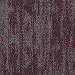 ESSENSA AMPLIFY ES5-005 QUANTIFY - Image 3