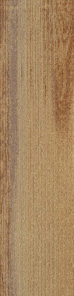 SDCP02 COPPICE GOLD - Image 2