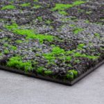 SAMN15 MONET LUSH - Image 3