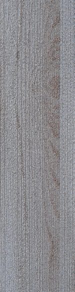 SDCP07 COPPICE SILVER - Image 2