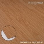 ESV003-02 Ferro - Image 3