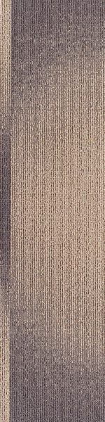 SHCV07-B CIVIC BROWN BASE - Image 2