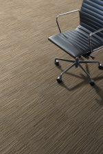 M031-1 Starlit Ginger - Image 3