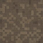 M083-1 Shimeira Champagne - Image 4