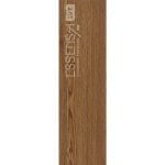 ESV001-02 Canary - Image 4