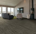 LVT 1702 Relic Dream