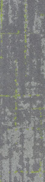 SAMN05 MORPH LUSH MIN - Image 4