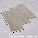 SATR01 TERRA DOVE - Image 2