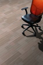 P1201-01 ALBIDO - Image 2