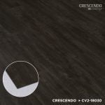 CV2-18030 Ebony Stout - Image 3