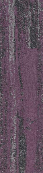 SAVC02-B VINCI PURPLE MAX - Image 5