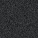 R33-1803 PETUNIA - Image 2