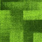 SAPX11 PIXA GREEN - Image 2