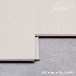 ESV006-07 Belle - Image 4