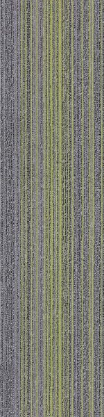 SHBZ07-C BLAZE LIME MAX - Image 2