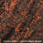 SAWH09 WARHOL ORANGE - Image 3