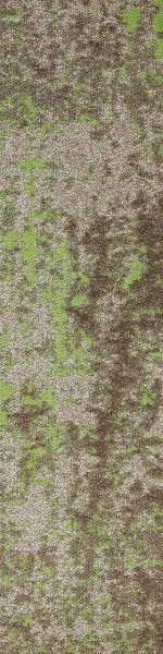 SAMN05 MONET MOSS - Image 5