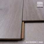 5946 Gümüş Meşe - Image 4