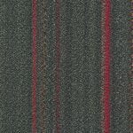 SISF07 STARFALL BROWN - Image 2