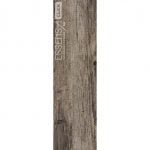 ESV003-03 Santo - Image 4