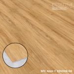 ESV006-08 Maxinie - Image 3