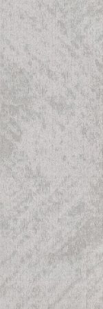 SIFZ01 FRITZ DOVE - Image 2