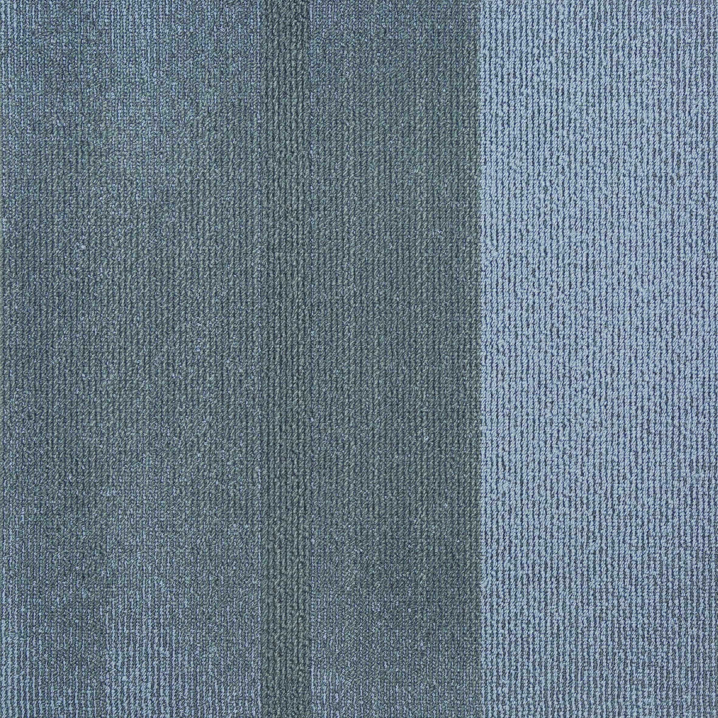 dqHJckfdlagjlD6eJrBy SHCV10 CIVIC DOVE - Image 2