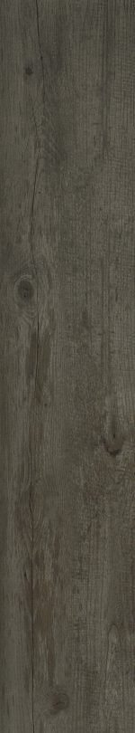 LVT 1702 Relic Dream - Image 4