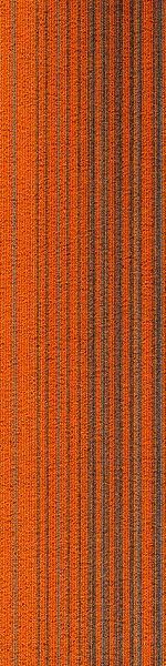 R37-7811 FLORENTINE - Image 2