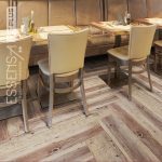 EVP002-02 Golden Noah