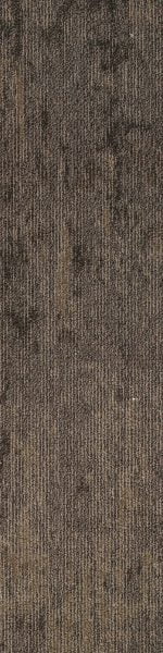 SAPB04 PABLO BROWN - Image 2