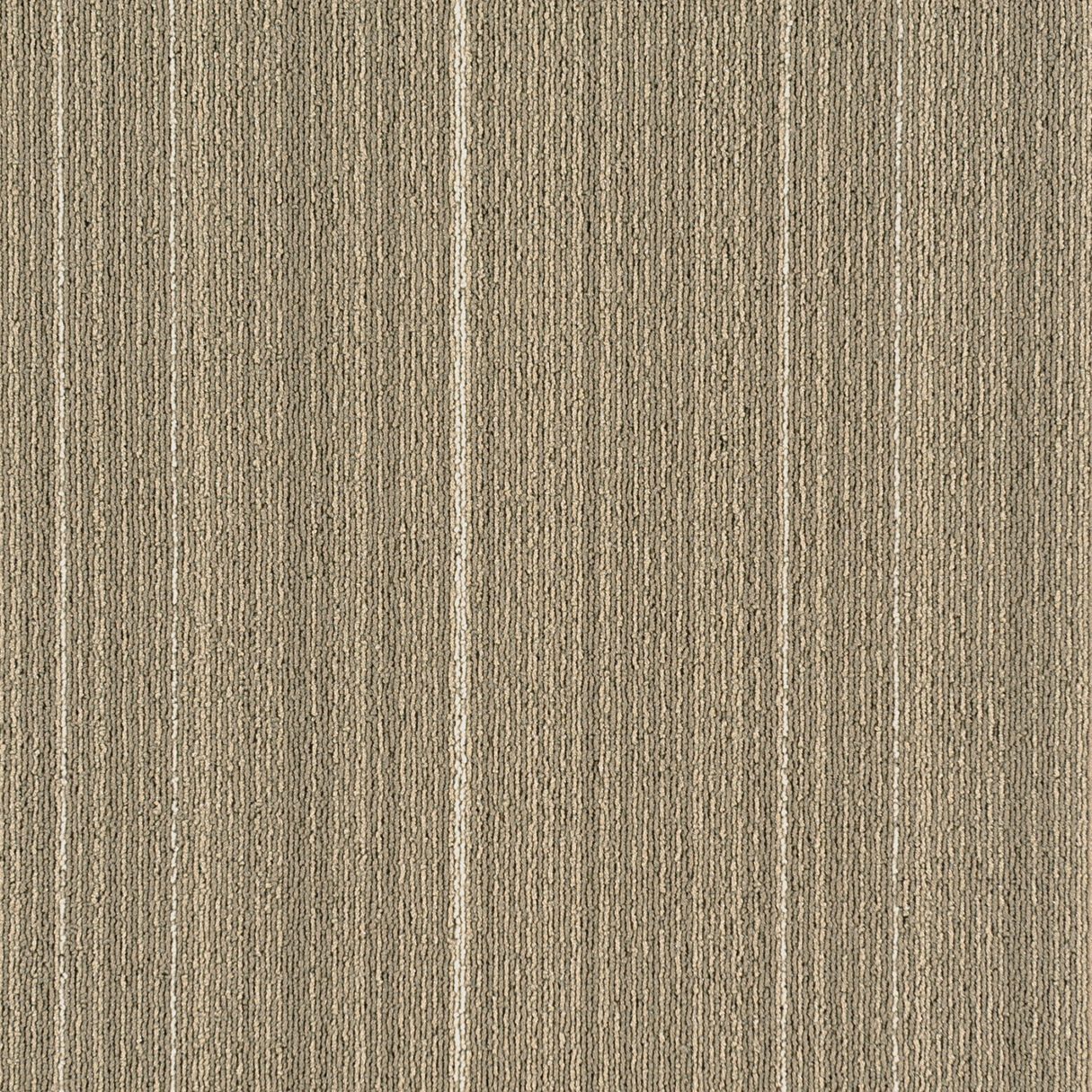 nSgIziW3IJSvuYXMKYtI SHDH03 DASH BEIGE - Image 2