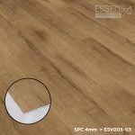 ESV006-03 Cyril - Image 3