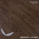 CV1-18023 Redwood Coast - Image 3