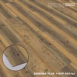 EVP002-02 Golden Noah - Image 3