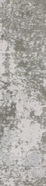 SAMN02 MONET DOVE - Image 5