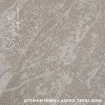 SATR01 TERRA DOVE - Image 3