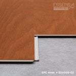 ESV006-02 Kyro - Image 4