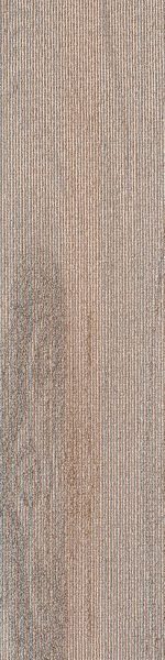 SDCP03 COPPICE BEIGE - Image 2