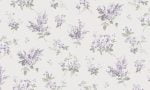 AURORA 4023-3 - Image 2